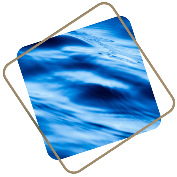 Vagues marines en mouvement

