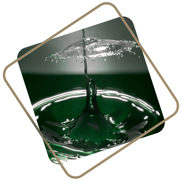 Vagues marines en mouvement

